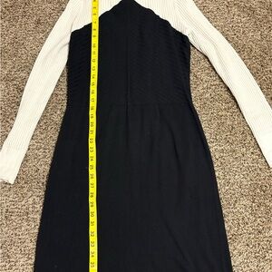 Ann Taylor Black and Cream Long Sleeve Dress